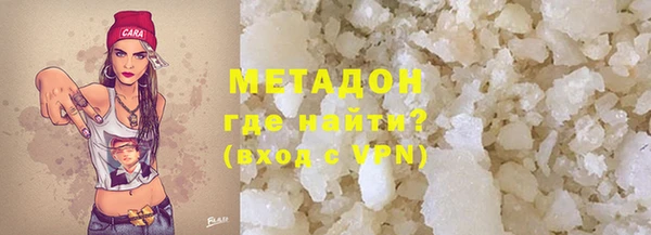 хмурый Аркадак