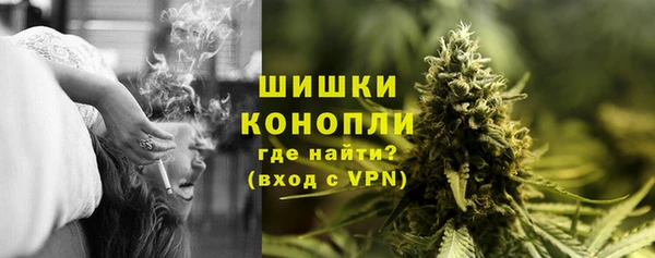 хмурый Аркадак