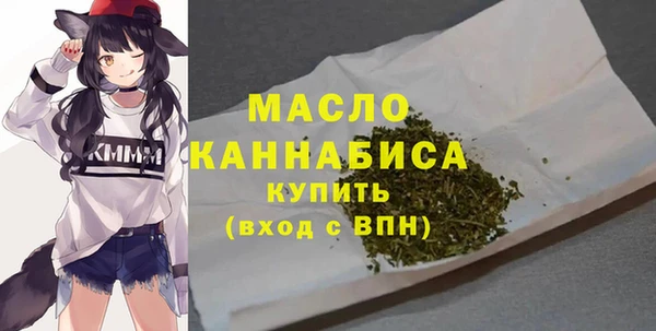 хмурый Аркадак