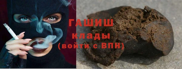 хмурый Аркадак