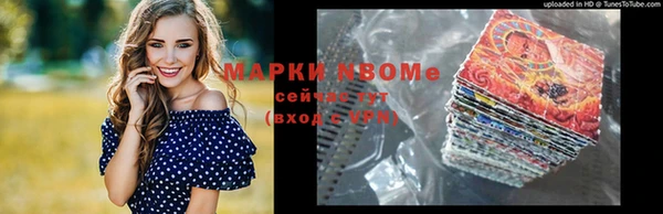 хмурый Аркадак