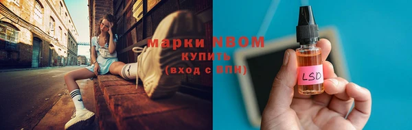 хмурый Аркадак