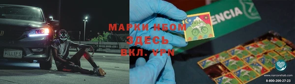 хмурый Аркадак
