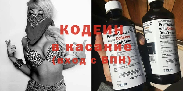 хмурый Аркадак