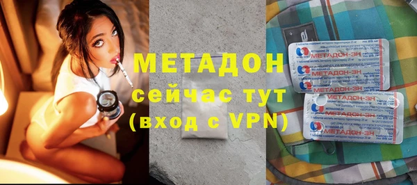 хмурый Аркадак