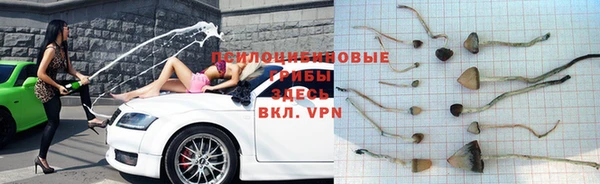 ГАЛЛЮЦИНОГЕННЫЕ ГРИБЫ Армянск