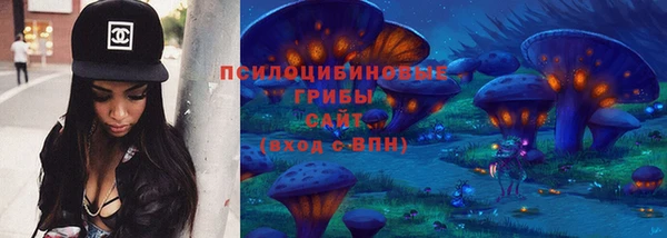 ГАЛЛЮЦИНОГЕННЫЕ ГРИБЫ Армянск