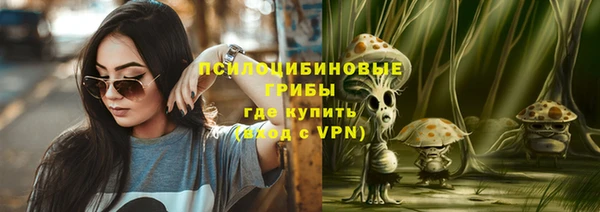 хмурый Аркадак
