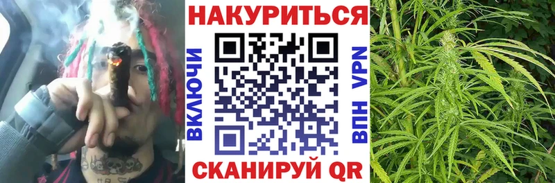 Конопля White Widow  Стародуб 